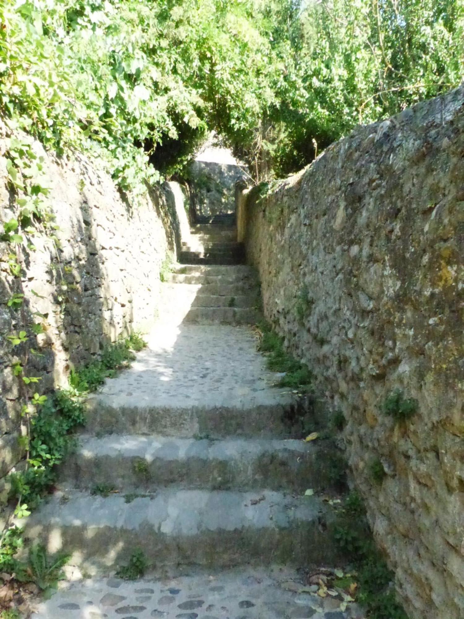 Gite De La Cite Villa Carcassonne Buitenkant foto